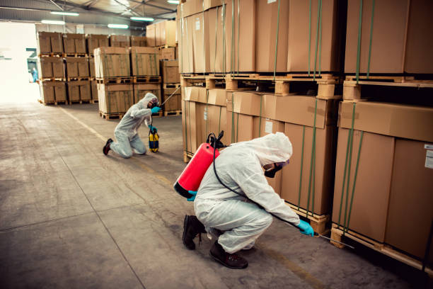 Best Mosquito Control Services  in Clear Lake, IA