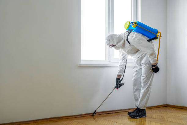 Best Commercial Pest Control Services  in Clear Lake, IA