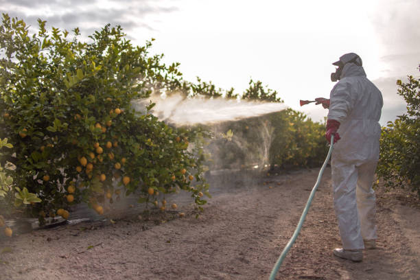 Best Affordable Pest Control Services  in Clear Lake, IA