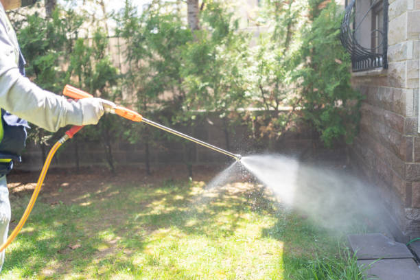 Best Wasp Removal Services  in Clear Lake, IA