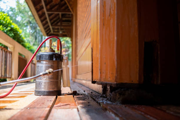 Best Pest Removal Services  in Clear Lake, IA